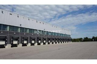 Gewerbeimmobilie mieten in 99817 Stregda, Neubau Lager- und Produktionshalle direkt an der A4