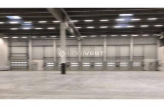 Gewerbeimmobilie mieten in 76437 Rastatt, Commission Free - Until 9.000 sqm - Logistics Space - State of the Art