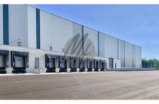 Büro zu mieten in 35415 Pohlheim, NEUBAU / ERSTBEZUG ✓ 24/7 ✓ RAMPE + EBEN ✓ Lager-/Logistik (8.000 m²) & Büro-/Sozial (800 m²)