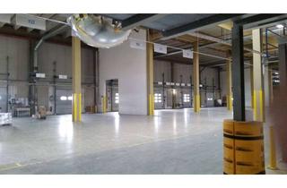 Gewerbeimmobilie mieten in Emil-Berliner-Straße 13-17, 30851 Langenhagen, Funktionale Halle (Event, Logistik aller Art, Produktion etc.)