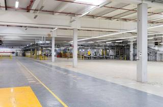 Gewerbeimmobilie mieten in Emil-Berliner-Straße 13-17, 30851 Langenhagen, Funktionale Halle (Logistik aller Art, Produktion, Metallverarbeitung etc.)