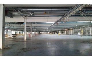 Gewerbeimmobilie mieten in Emil-Berliner-Straße 13-15, 30851 Langenhagen, Funktionale Halle (Logistik 3PL, E-Commerce, Großhandel etc.)
