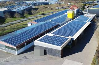 Gewerbeimmobilie kaufen in 59302 Oelde, Sofort verfügbar - Top Gewerbestandort, Produktionshallen, Büros, Wohnhaus und Bauland in Oelde