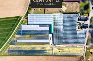 Anlageobjekt in 47638 Straelen, Mehr als eine Immobilie: Wohn- und Betriebsanwesen auf über 25.000 m²