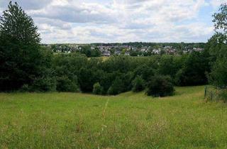 Grundstück zu kaufen in 53127 Ippendorf, Großes Baugrundstück Ruhiglage Bonn-Ippendorf Liebhaberobjekt direkte Naturlage unverbaubarer Blick