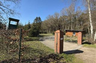 Grundstück zu kaufen in 27628 Bramstedt, Idyllisches Grundstück mit viel Weideland – ein Paradies für Pferdeliebhaber