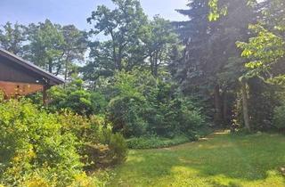 Grundstück zu kaufen in 04827 Machern, 3.400 m² Glück in Machern: Bauen und Wohnen auf sonniger Himmelswiese an eigenem Wald