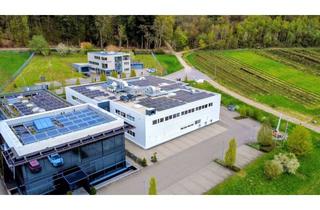 Büro zu mieten in 78333 Stockach, Moderne Bürofläche mit bis zu 550 m² im Gewerbegebiet Blumhof Stockach zu vermieten
