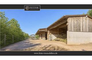 Immobilie kaufen in 67292 Kirchheimbolanden, Reitanlage kaufen Rheinland-Pfalz – Moderne Reitanlage aus 2016 zwischen Alzey und Kaiserslautern
