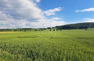 Immobilie kaufen in 31860 Emmerthal, Acker- und Grünland in Emmerthal