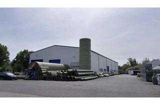 Lager kaufen in 06729 Elsteraue, Hallenflächen, Gewerbeareal (u.a. BJ 2008) Nähe A9