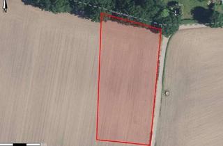 Gewerbeimmobilie mieten in 46147 Holten, Landwirtschaftliche Fläche