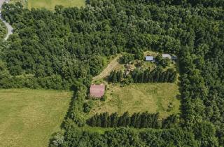 Gewerbeimmobilie kaufen in 55776 Berglangenbach, Naturparadies mit Vereinsheim – über 11.000 m² Freizeitgrundstück in Waldrandlage