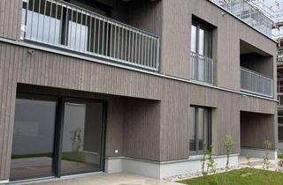 Wohnung mieten in Ströllerbachallee 68, 74613 Öhringen, Erstbezug in Öhringen: schöne 2-Zimmer-Neubauwohnung mit Terrasse, Einbauküche und Tiefgarage
