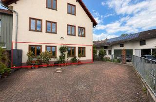 Wohnung mieten in 61138 Niederdorfelden, Helle 2-Zimmer-Wohnung im Erdgeschoss mit großzügigem Grundriss