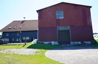 Bauernhaus kaufen in 87452 Altusried, Ideal für Pferd und Reiter Bauernhaus mit viel Wohnraum, Nutzflächen, Grünland, möglichen Mieteinnahmen