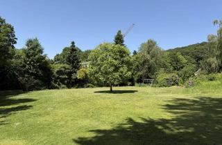 Grundstück zu kaufen in 33803 Steinhagen, Außergewöhnliches Parkgrundstück in Bestlage von Steinhagen