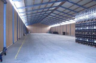 Gewerbeimmobilie mieten in 55262 Heidesheim, Lagerhallen in verschiedenen Größen