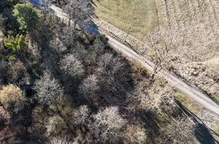 Immobilie kaufen in 06772 Gräfenhainichen, Grundstück in Gräfenhainichen