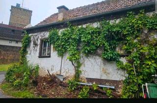 Wohnung kaufen in 67753 Rothselberg, Rothselberg - Eigentumswohnung Einliegerwohnung Erdgeschoss Wohnung Haus
