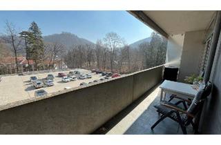 Wohnung kaufen in 38667 Bad Harzburg, Bad Harzburg - Privatverkauf: Wohnung mit großem Balkon & Bergblick, Schwimmbad