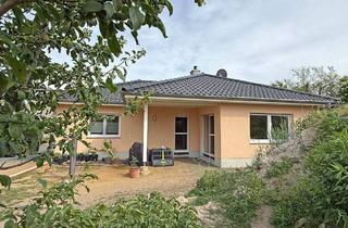 Einfamilienhaus kaufen in Gartenstraße 7, 04932 Hirschfeld, Hirschfeld - Moderner Bungalow in ruhiger Grünlage - hochwertiges Wohnen auf großzügigem Grundstück in Hirschfeld