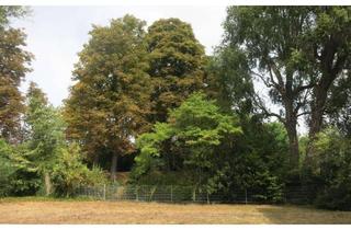 Wohnung kaufen in 51063 Mülheim, Schönes Apartment in Köln-Mülheim in ruhiger Bestlage mit Gartenblick