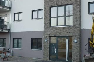 Wohnung mieten in Alte Ziegelei 17, 36100 Petersberg, 2-Zimmer Wohnung mit Balkon & EBK 48,76m² 1. OG mit Aufzug