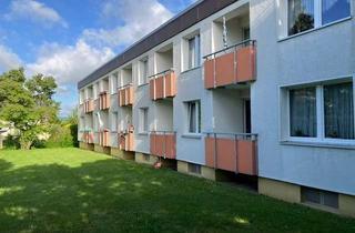 Wohnung mieten in Amselweg, 31867 Lauenau, Helle EG-Wohnung in Lauenau