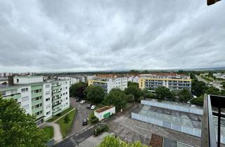 Wohnung mieten in 65239 Hochheim, Modernes 1-Zimmer-Apartment mit Westbalkon und Aufzug in Hochheim