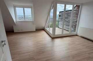 Wohnung mieten in Obermarkt 15, 63571 Gelnhausen, Modernes gemütliches Wohnen über den Dächern von Gelnhausen