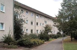 Wohnung mieten in An Der Teichbreite 58, 38448 Wolfsburg, Großzügiges Wohnzimmer und Tageslichtbad mit Badewanne
