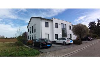 Wohnung mieten in Giselherstraße, 68623 Lampertheim, Moderne, großzügige 3,5-Zimmer-Wohnung mit Balkon in Lampertheim-Rosengarten