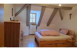 Wohnung mieten in 93102 Pfatter, charmante 2 Zimmer Wohnung in Pfatter