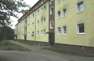 Wohnung mieten in Carl-Ludwig-Schleich-Str. 14, 18435 Kniepervorstadt, Familie gesucht!