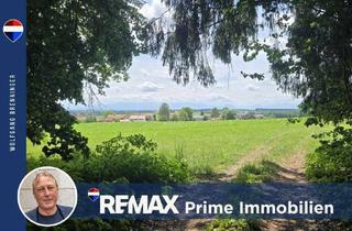 Anlageobjekt in 83544 Albaching, Wald, Weitblick, Werte – ca. 1,9 ha gepflegter Waldbestand mit Alpenpanorama