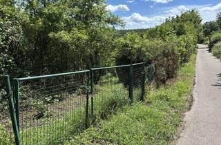 Grundstück zu kaufen in 70619 Sillenbuch, Gartengrundstück (kein Bauland) in Stuttgart-Sillenbuch mit schönem Blick ins Grüne