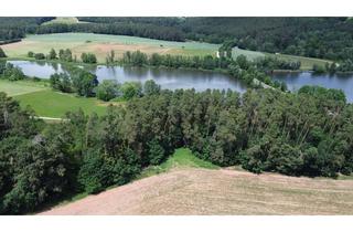 Grundstück zu kaufen in Griesbuck, 91720 Absberg, Waldgrundstück im Fränkischen Seenland