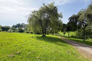 Grundstück zu kaufen in 58513 Lüdenscheid, RAUM FÜR IHREN TRAUM Sonniges Baugrundstück für Ihr Einfamilienhaus in Lüdenscheid!