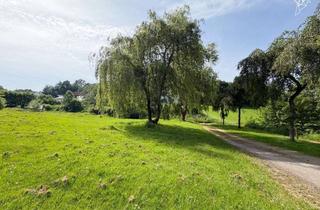 Grundstück zu kaufen in 58513 Lüdenscheid, RAUM FÜR IHREN TRAUM Sonniges Baugrundstück für Ihr Einfamilienhaus in Lüdenscheid!