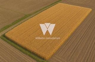 Gewerbeimmobilie kaufen in 04509 Zwochau, Verpachtete Landwirtschaftsfläche | Landwirte und Investoren aufgepasst | 19,2 Hektar