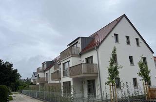 Wohnung mieten in Niederscheyerer Straße 52 - 54, 85276 Pfaffenhofen, Erstbezug | Helle 2-Zimmer-Wohnung im 1. OG in attraktiver Lage mit Balkon und TG-Stellplatz