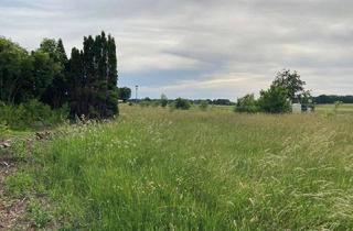 Grundstück zu kaufen in Ahornstraße, 82287 Jesenwang, Baugrund (teilbar) in ruhiger Lage mit unverbautem Blick