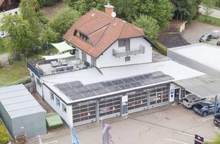Haus kaufen in 79862 Höchenschwand, Nachhaltig saniertes Haus mit Top-Werkstatt und Ausstellungshalle