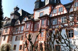 Wohnung kaufen in 35410 Hungen, Hungen - Wohnen im Schloss