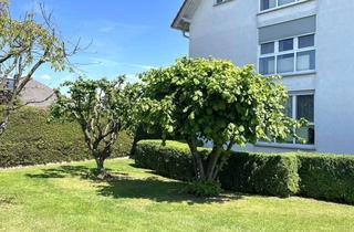 Wohnung mieten in 61200 Wölfersheim, Gepflegte 2,5-Zimmer-Souterrain-Wohnung mit Terrasse und EBK