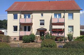 Wohnung mieten in Eichwerder 20, 16269 Wriezen, Preiswerte, modernisierte 3-Zimmer-Wohnung im 1 OG rechts mit Balkon in Wriezen