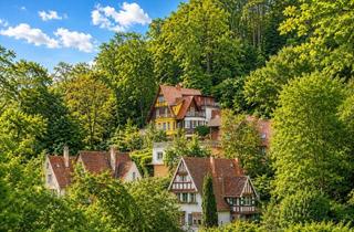 Villa kaufen in 69117 Altstadt, Wohnen wie im Märchen: Historische Altbauvilla auf parkähnlichem Grundstück und Pool