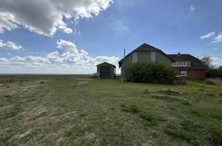 Haus kaufen in 25863 Langeneß, Wohn- und Wirtschaftsgebäude in exklusiver Warftlage auf Langeneß