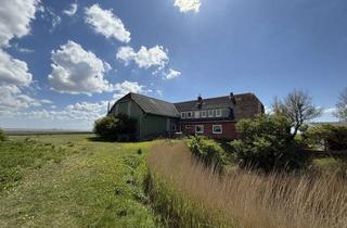 Haus kaufen in 25863 Langeneß, Wohn- und Wirtschaftsgebäude in exklusiver Warftlage auf Langeneß